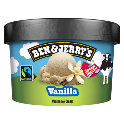 Ben & Jerry's Small Vanilla 12x125ml