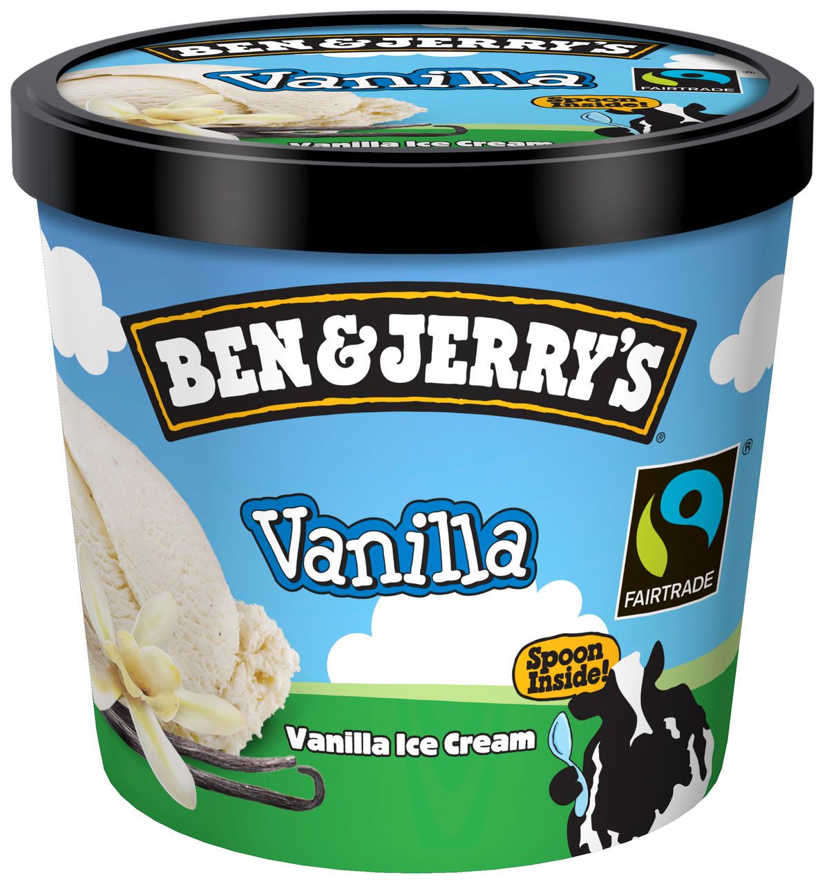 Ben & Jerry's Small Vanilla 12x100ml